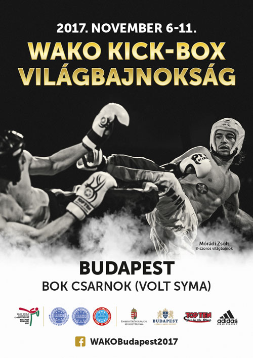 kickbox vb plakat.[1]
